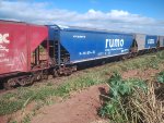 RUMO HTT-351591-5